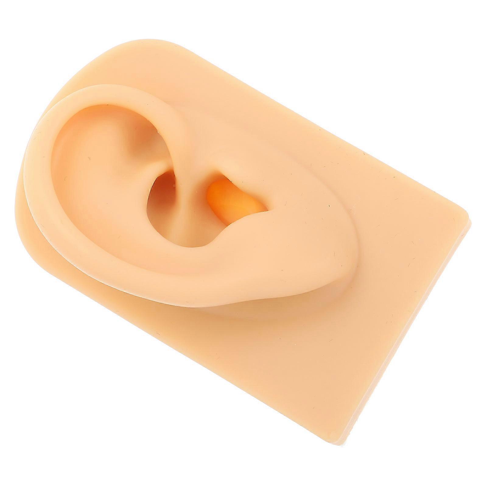 Fake Ear Model For Ear Piercing Practitioners High Simulation 3.1×1.9×1.2in 1 Piece