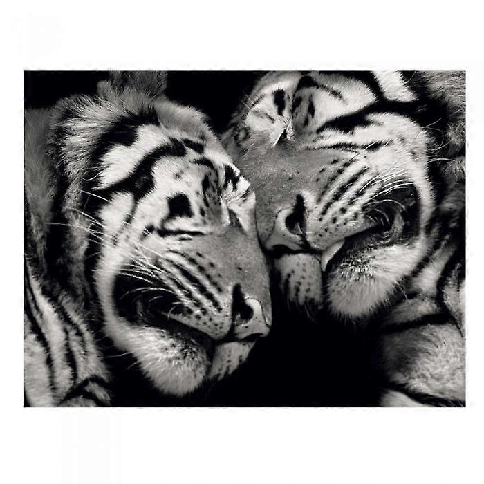 Duma Ancell Sleeping Tigers Imprimer