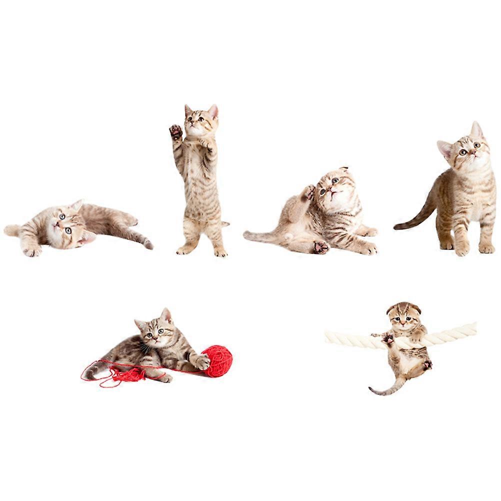 6PCS Cat Design PVC Window Clings, Collision Deterrent Static Decals for Glass Doors & Windows, Removable Bird Protection Stickers for Home Decor