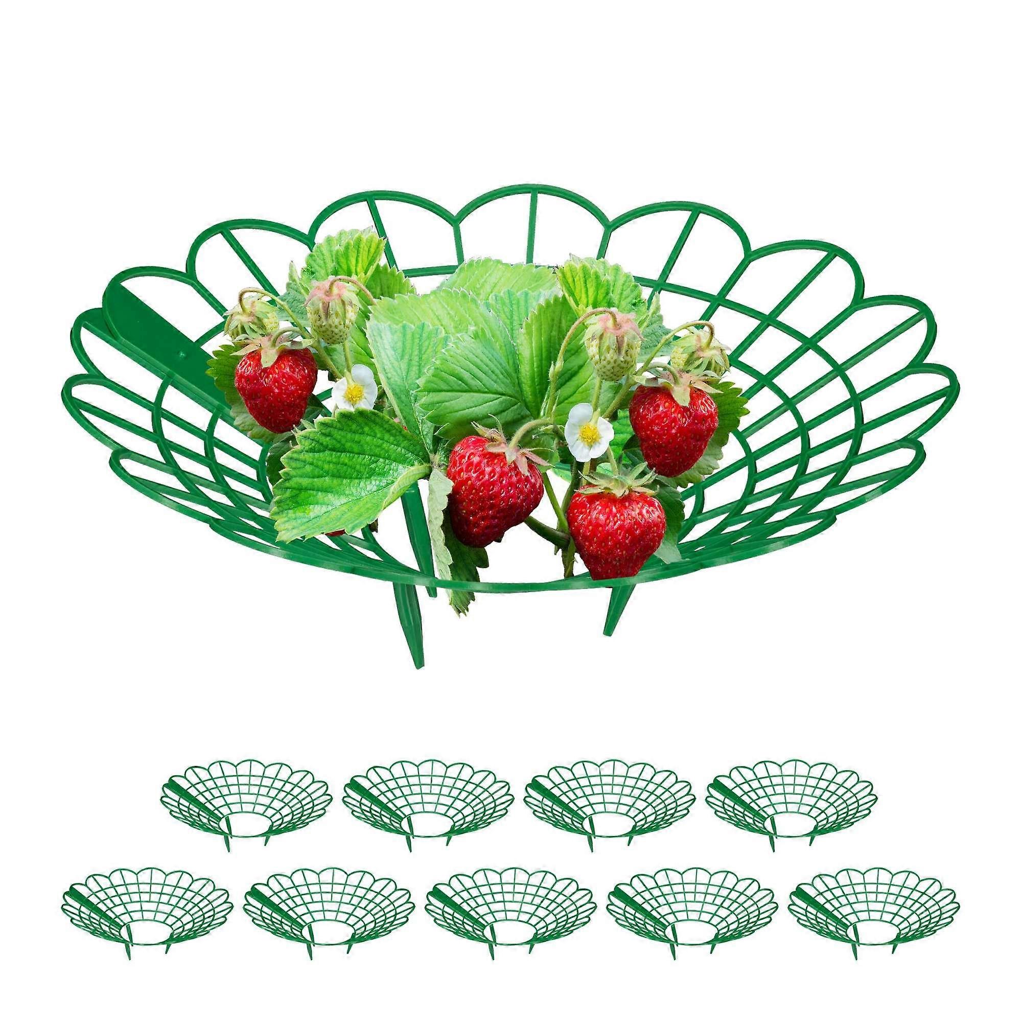 Strawberry support set