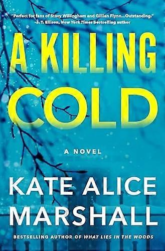 Killing Cold: romaani