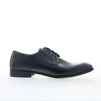 Steve Madden Herrenschuhe Sydney, schlichte Oxfords und Schnürschuhe