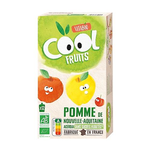 Apple and acerola cool fruits bag 12 units of 90g (Apple - Acerola)