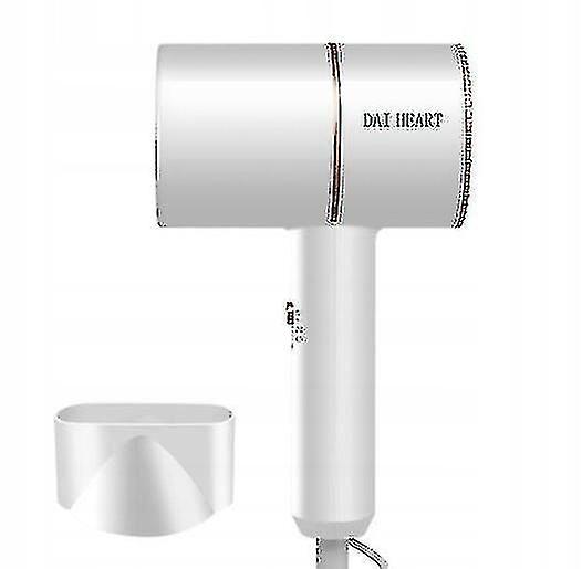 Hair Dryer Negative Ion Mute