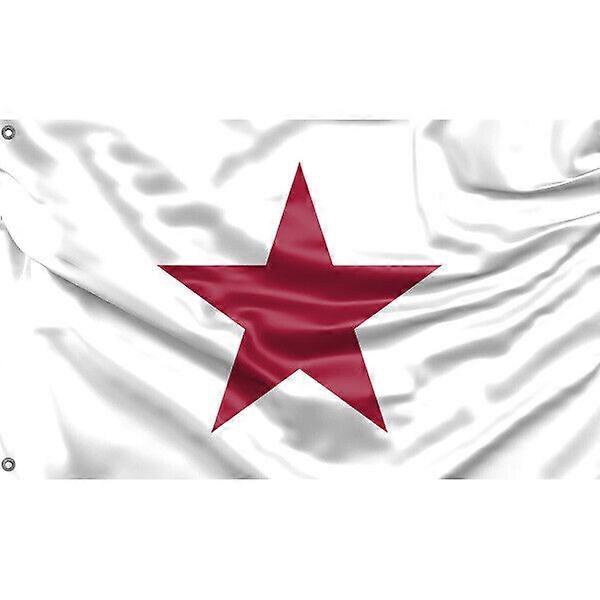 Alvarado Lone Star Drapeau FG080