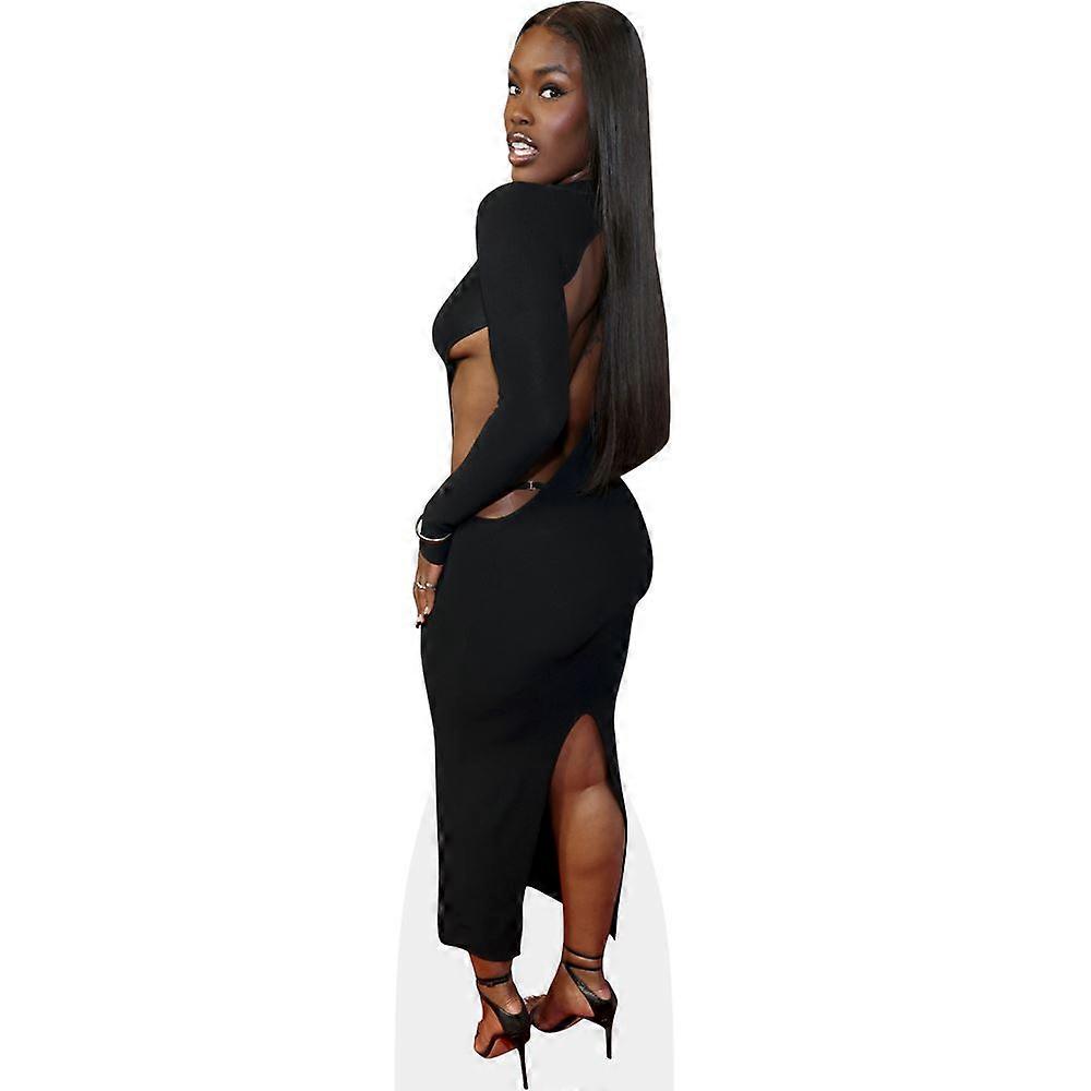 Tanerelle Stephens (Pose) Cardboard Cutout (lifesize OR mini size). Standee. Stand Up.