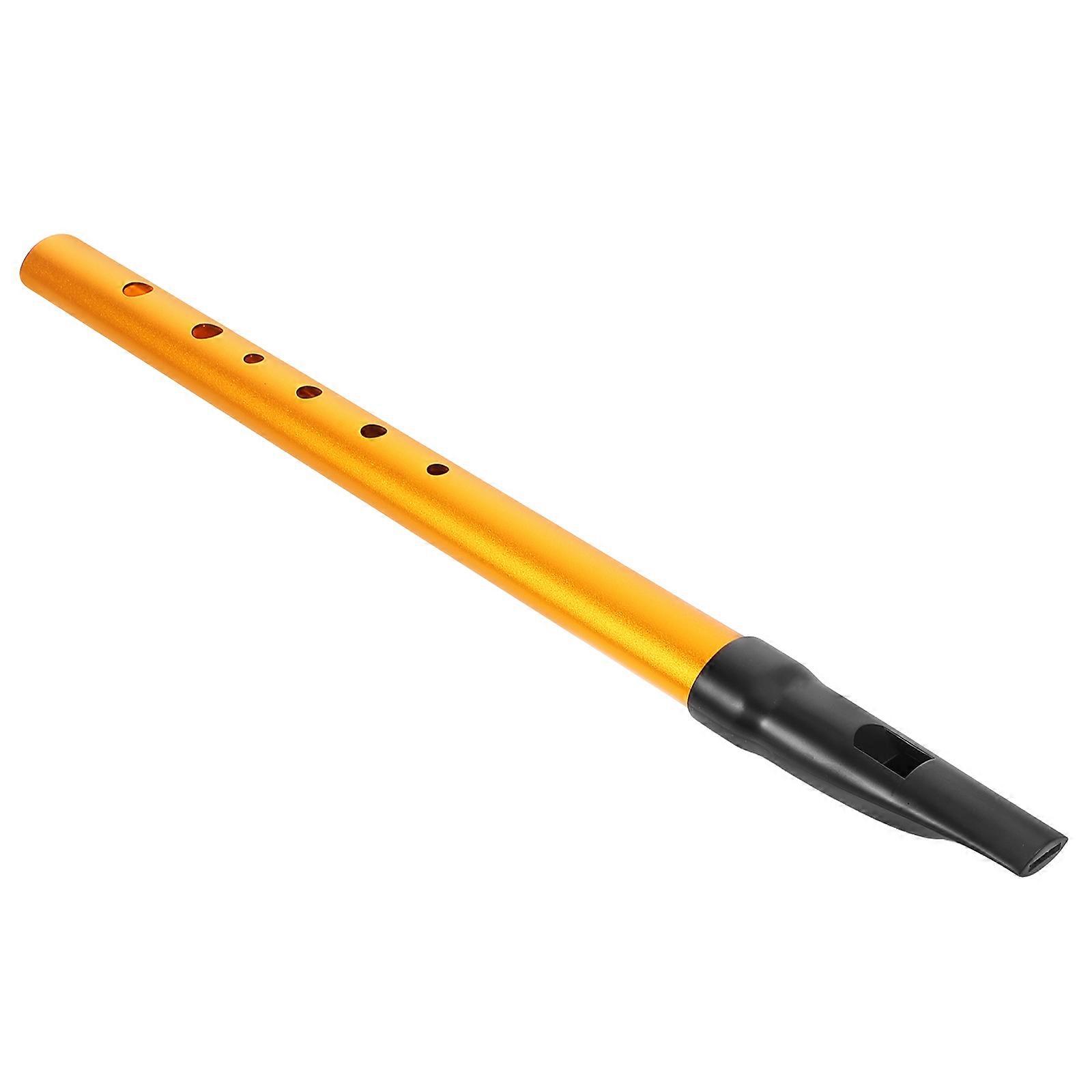 Tin Whistle Key D Irish Whistle Group Sessions Beginner Friendly 6 Hole Design Vertical Flute 1Pcs