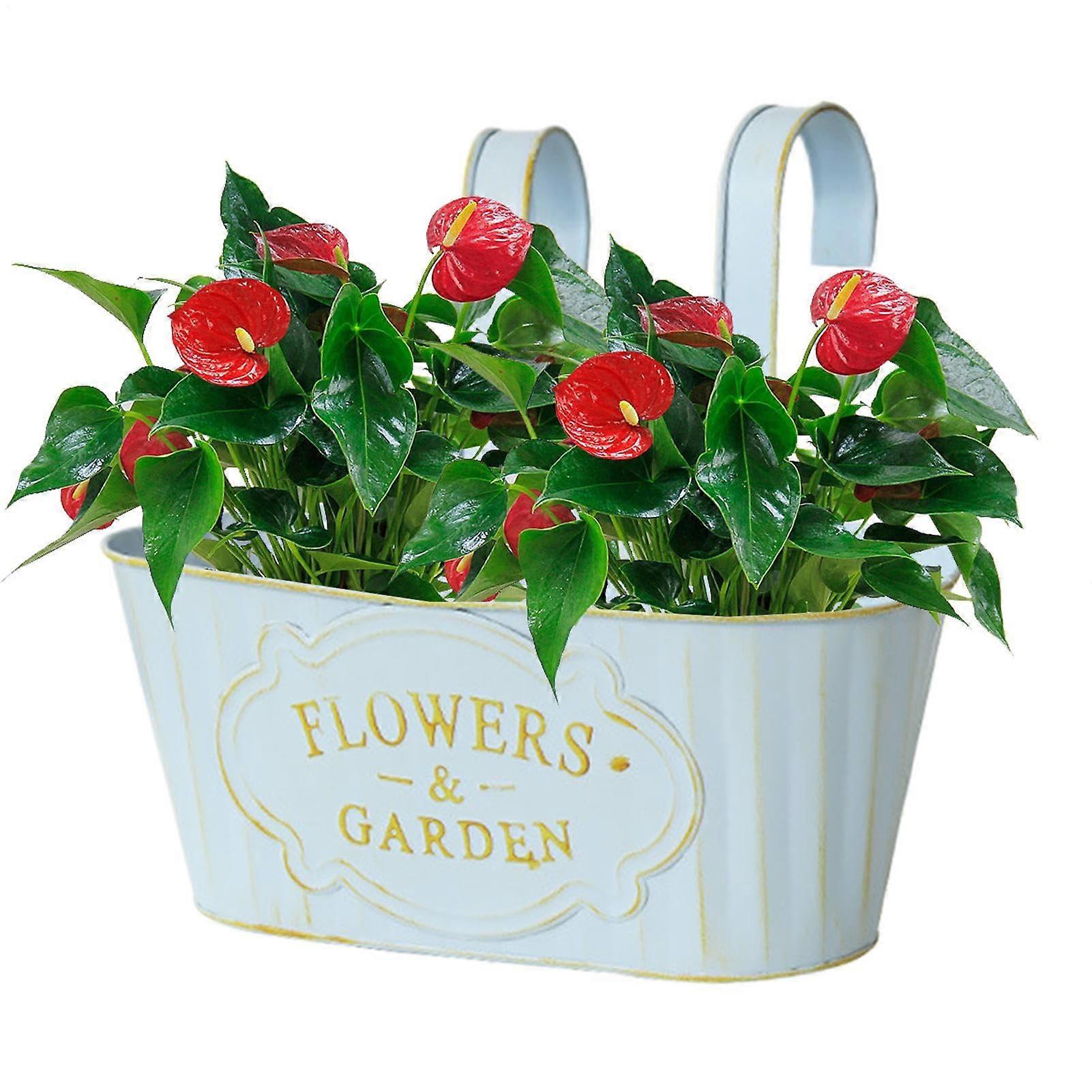 Flower Boxes for Railings, Outdoor Fence Planter, Iron, Blue