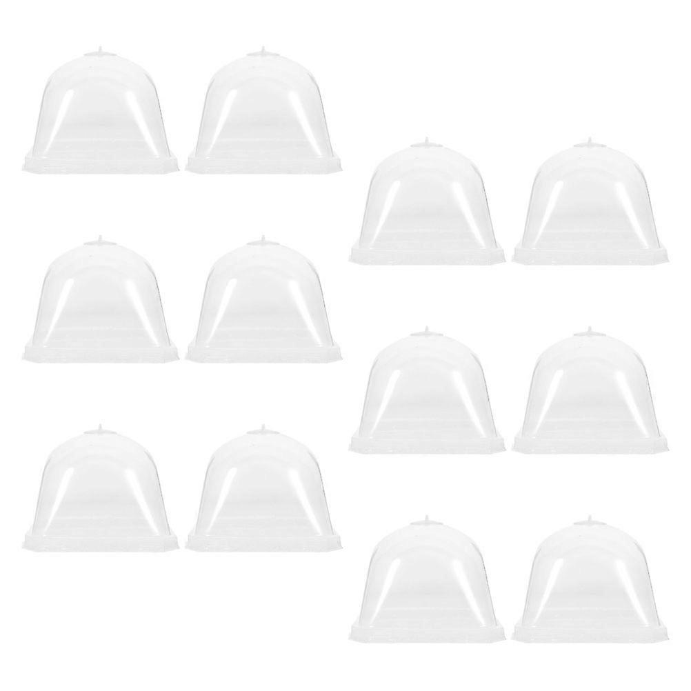 Clear Plastic Square Plants Covers Dome for Succulents 12Pcs Protection