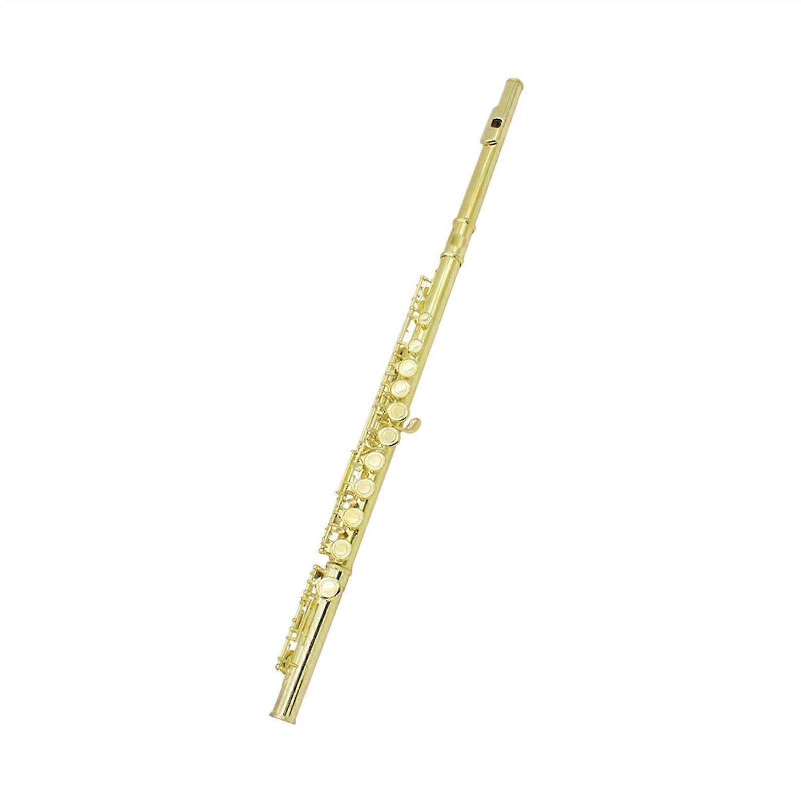 Student Flute 16Hole Flute C Key Color Flute E Key Student Adult Professional Plays Musical Instrument Flute (Color: Gold)