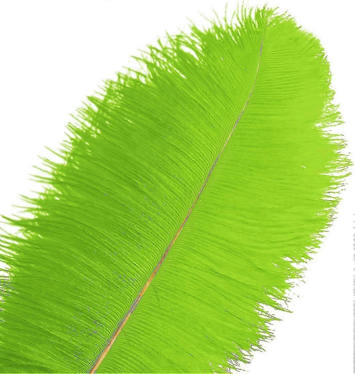 50pcs Ostrich Feathers For Decorations