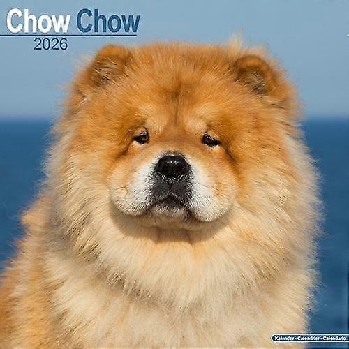 Chow Chow Calendar 2026  Square Dog Breed Wall Calendar  16 Month Calendar Book