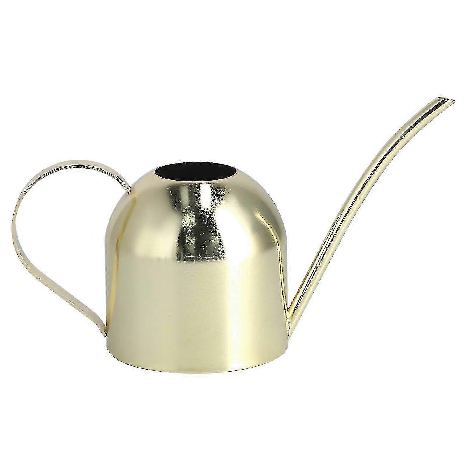 Rustproof Arc Spout Stainless Watering Can