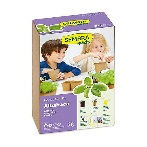 Basil seeds 1 unit