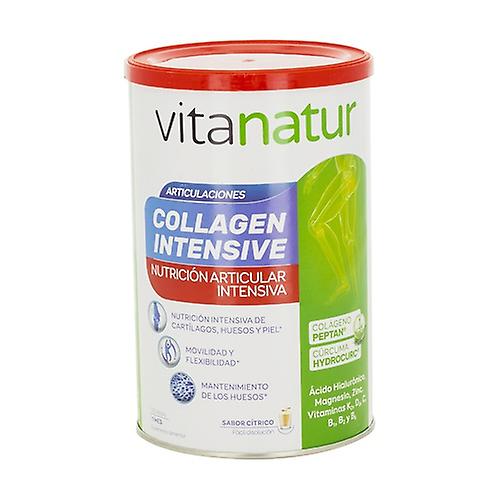 Vitanatur Collagen Intensive 360 g