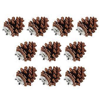 10 Stück Vogelbeiß-Kiefernzapfen, natürliches Kiefernzapfen-Kauspielzeug für Sittiche, Nymphensittiche, Conures, Finken, Wellensittiche, Aras