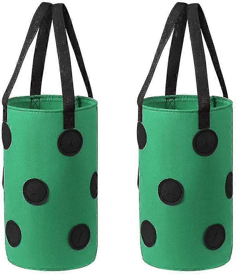 Saplı Bitki Çantası