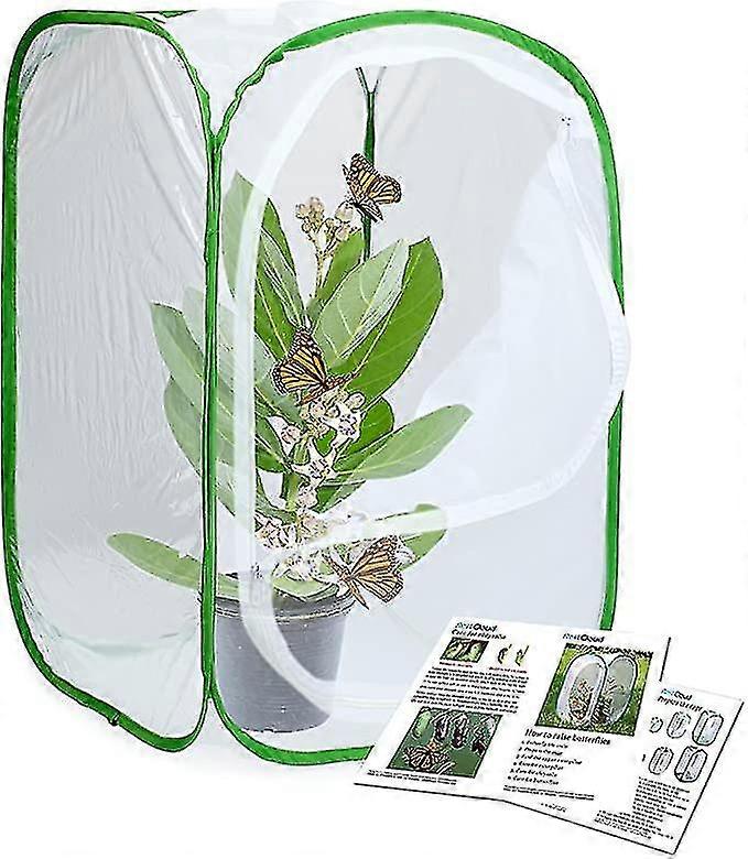 Foldable Insect Cage, Three Sizes