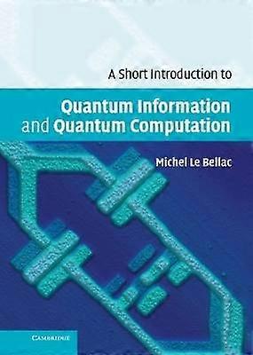 A Short Introduction to Quantum Information and Quantum Computation