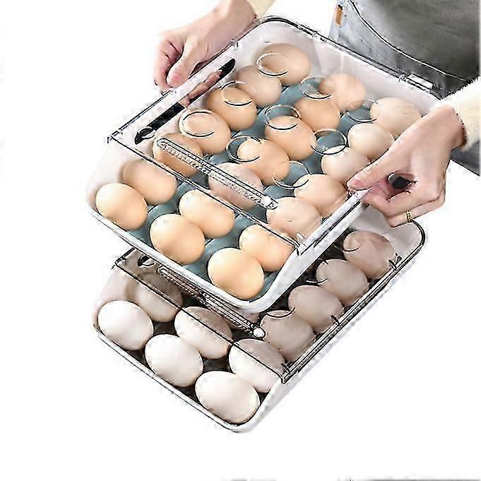 Large Capacity Egg Holder for Refrigerator