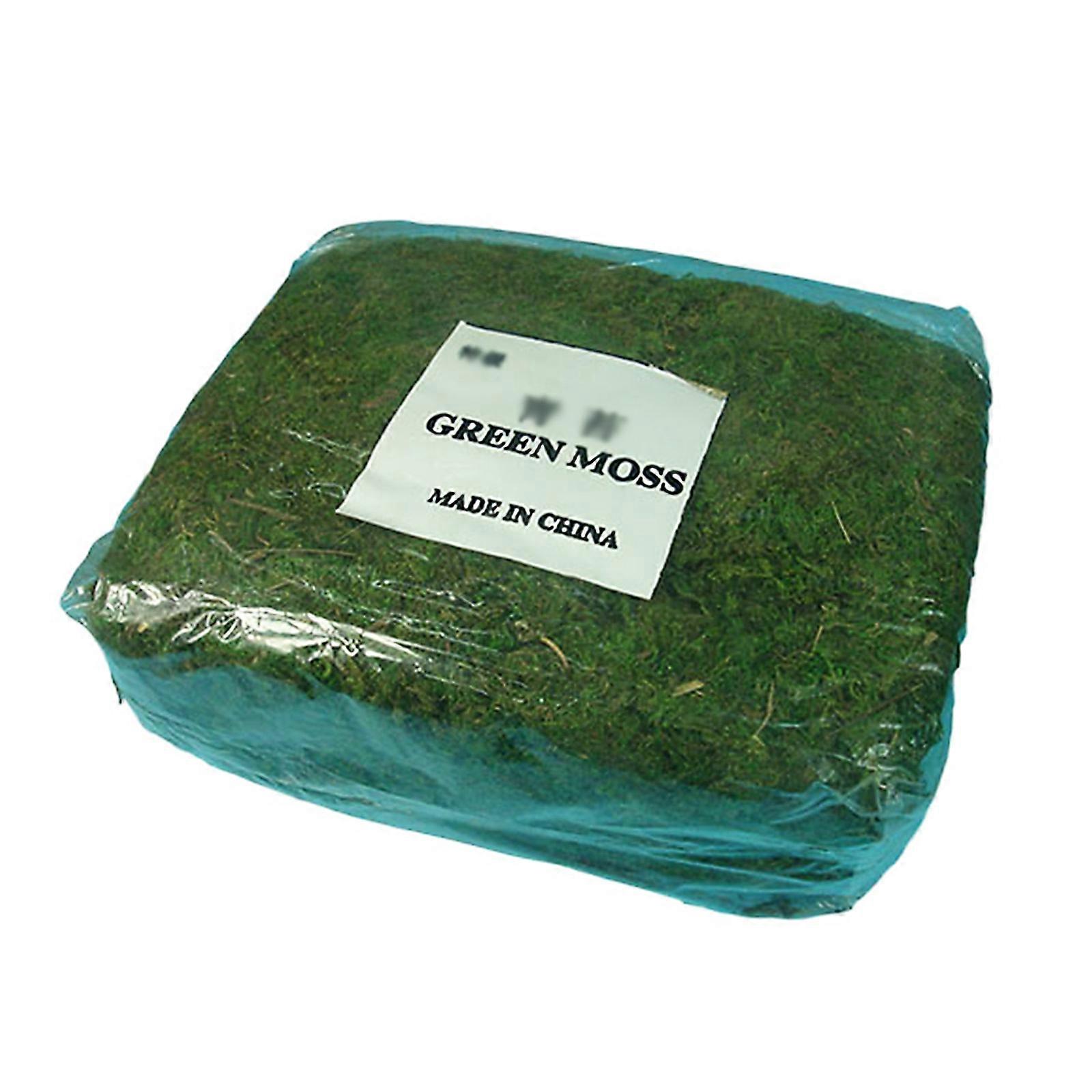 Moossimulation Gartenbedarf Moossimulation Pflanze Topfmaterial Waldmoos