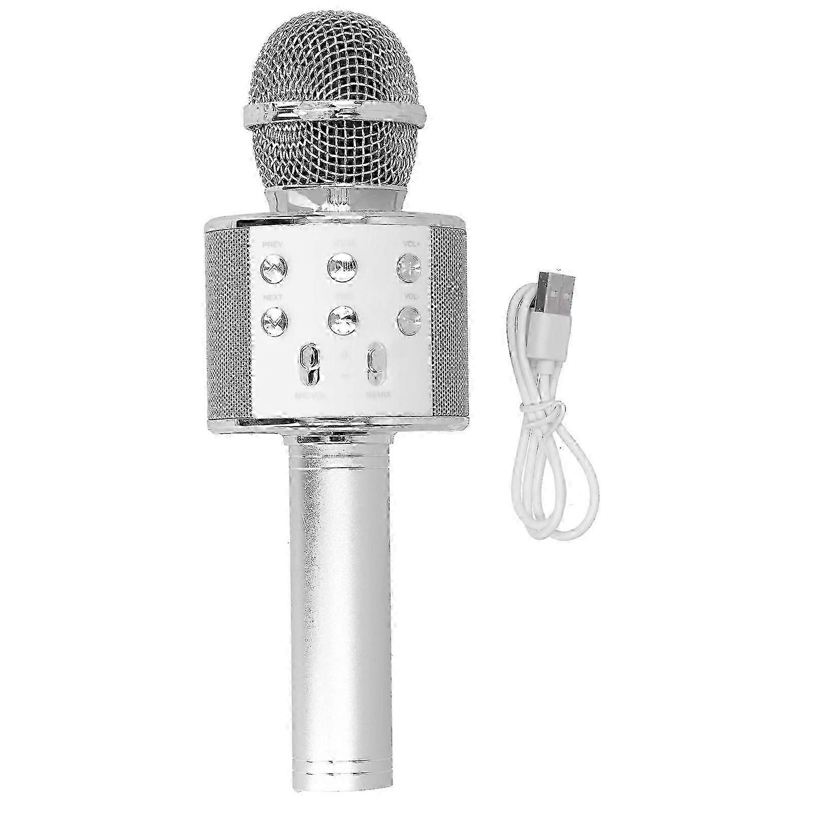 Wireless Microphone Bluetooth Recording Handheld Portable for Party Wedding Meeting