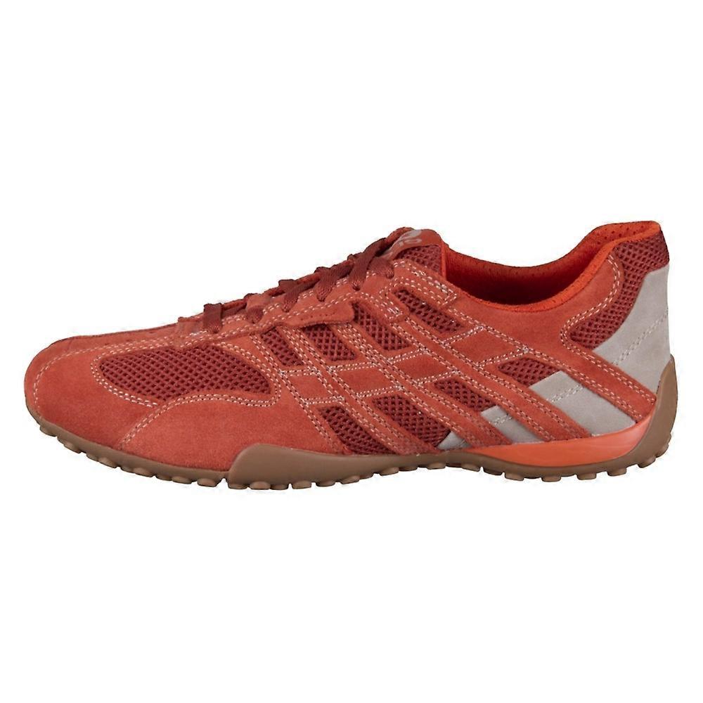 Shoes Geox U Snake U55MNA02214C6014