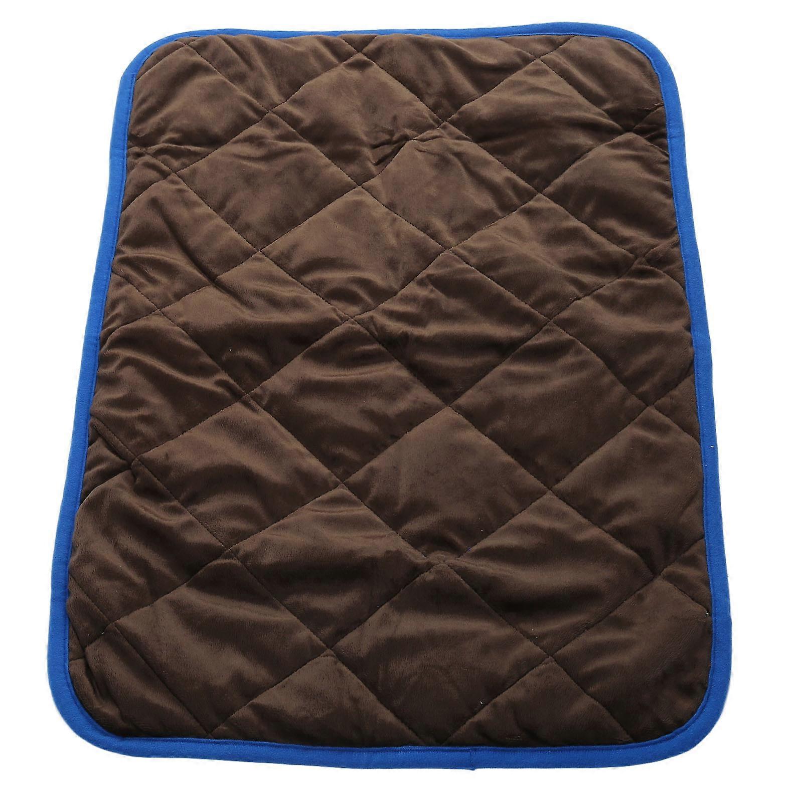 Washable Dog Pee Pad S 40x50cm Self Warming Mat Blue Border
