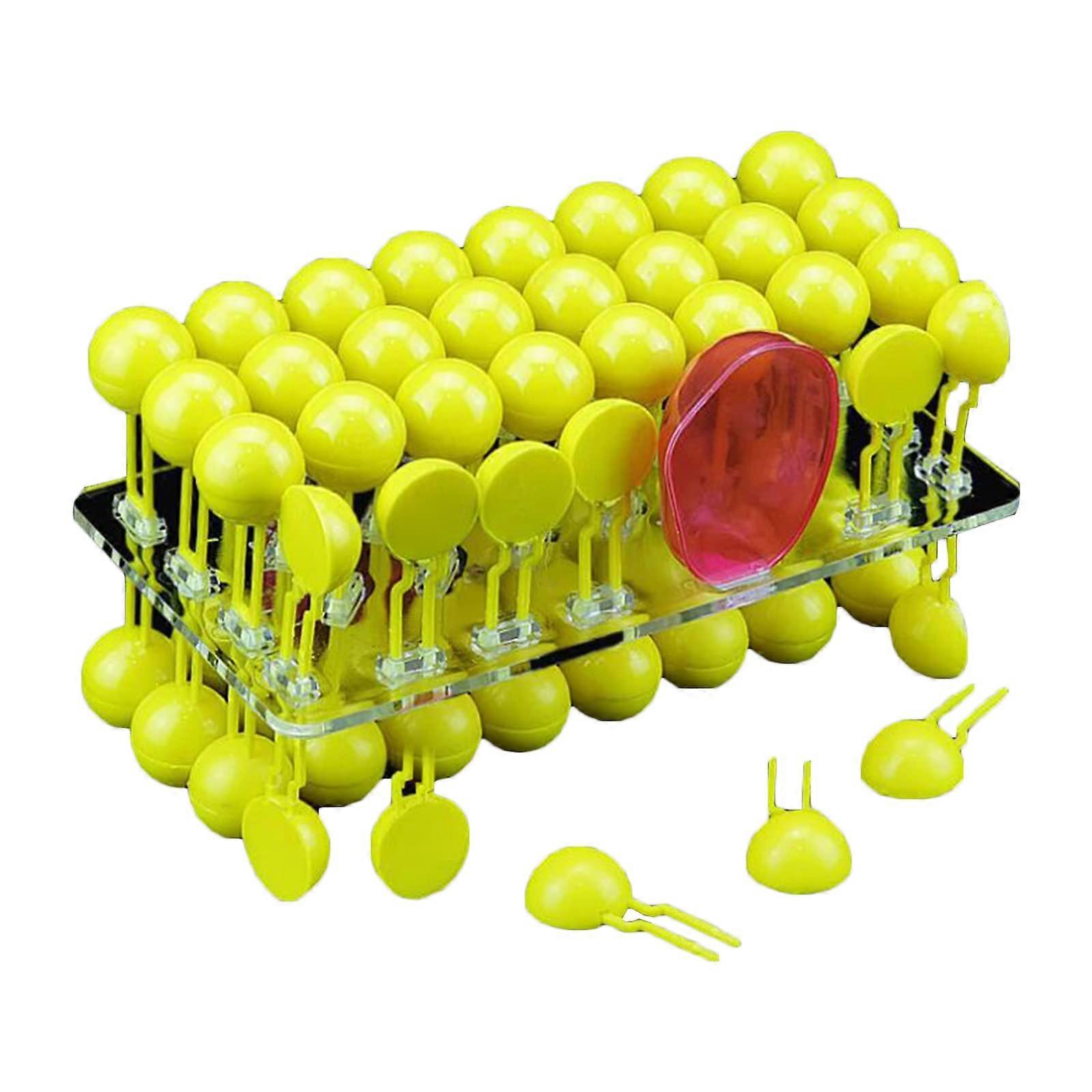 Cell Membrane Flow Mosaic Model, Cell Membrane Structure Model, Teaching Instrument For Biological Experiments, Model A