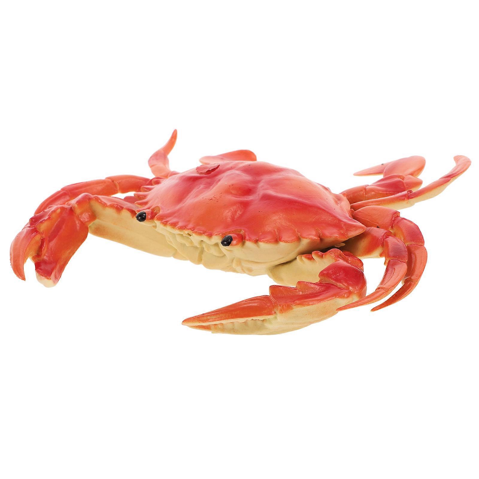 Realistic Simulation Crab Animal Model for Photography Props, Home Decor & Educational Play – Detailed Artificial Ornament for Ocean Theme Settings