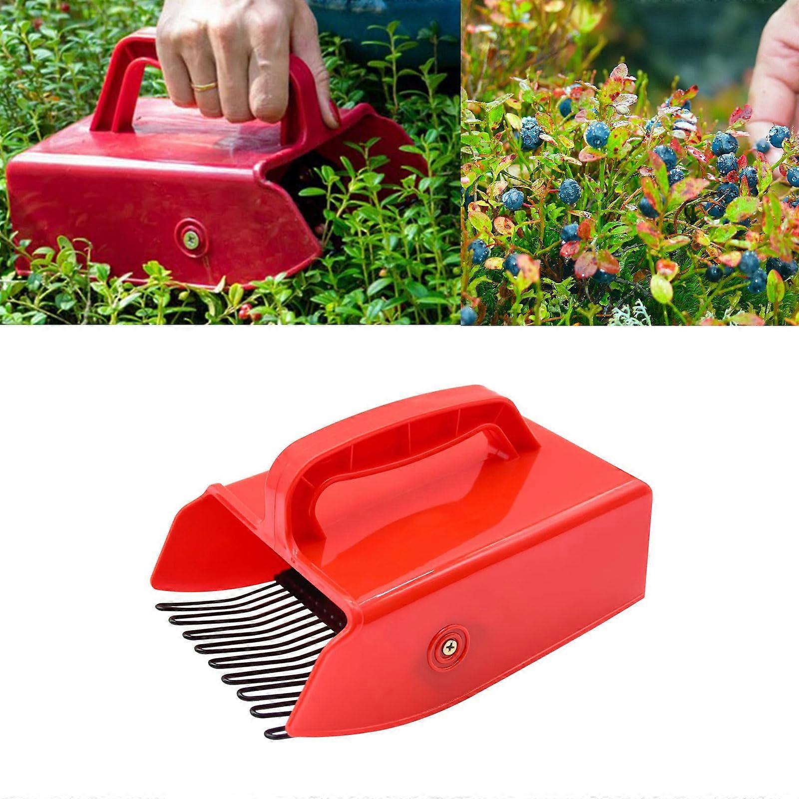 Blueberry Picker with Ergonomic Grip, Lightweight Design, Durable Material, Ideal for Easy Harvesting