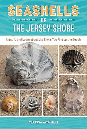 Seashells of the Jersey Shore: Identify and Learn about the Shells You Find on the Beach