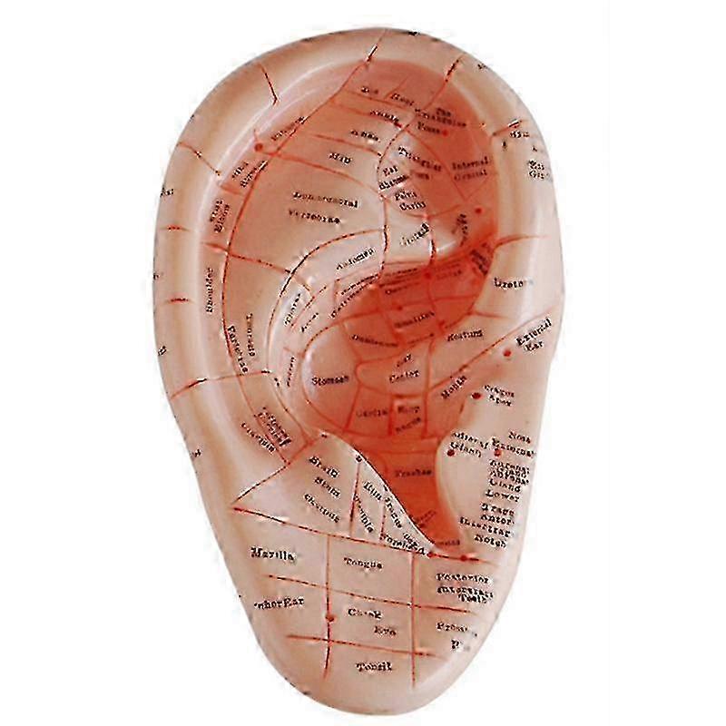 Ear Acupuncture Earpins for Auricular Application - Model Specific Ear Acupoints