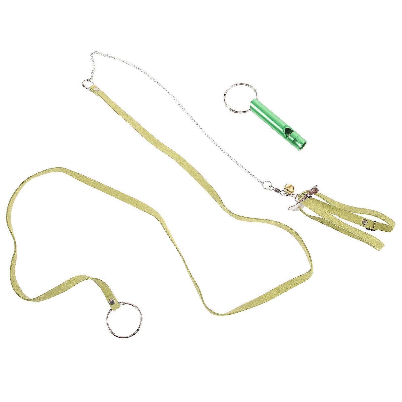 Turtle Harness with Leash for Outdoor Traction Control