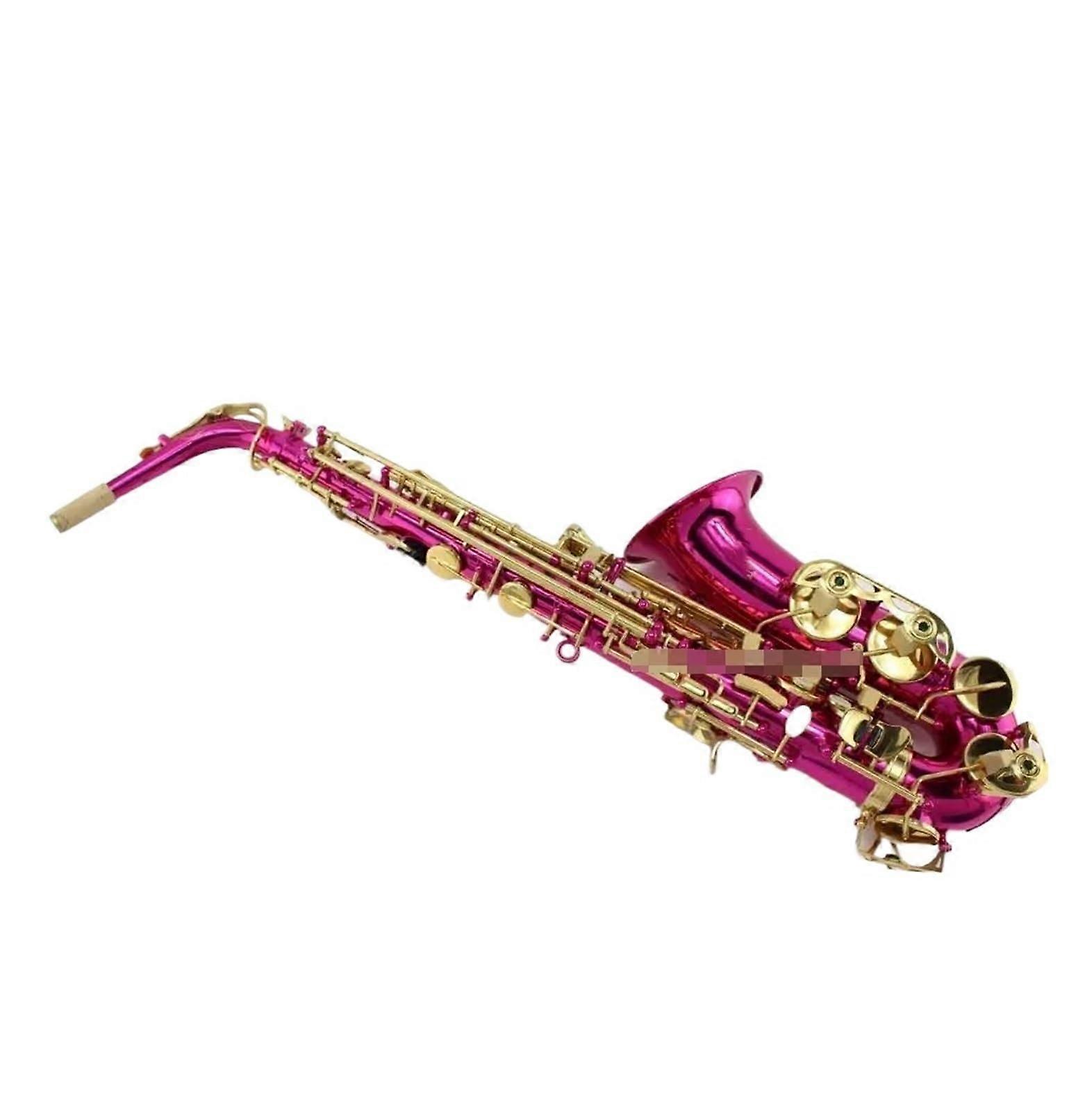Alto Saxophone for Beginners E Flat Student Model with Case SilverPlated Brass Balanced Tone