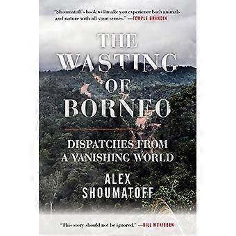 Le délabrement de Bornéo : dépêches d’un monde en voie de disparition