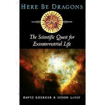 Here Be Dragons - David W. Koerner