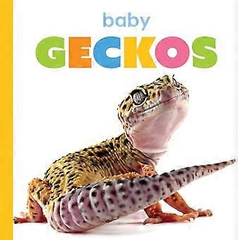 Babygekkoer