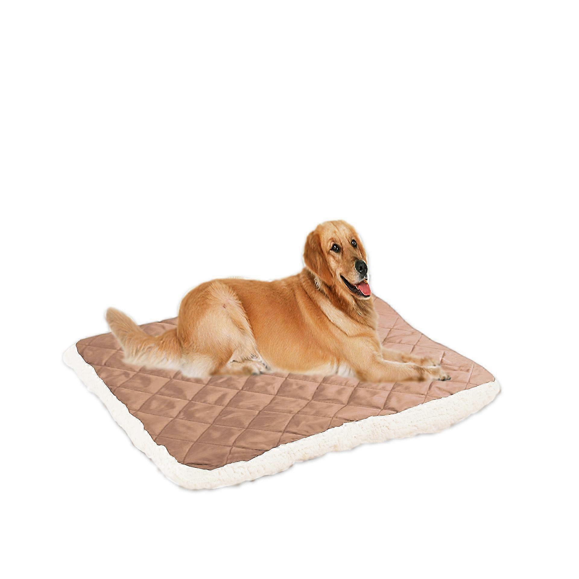 Dual-Surface Pet Mat 100x80cm