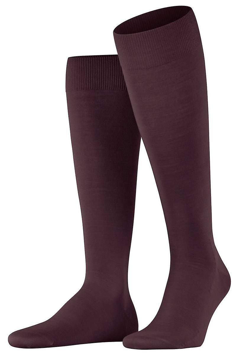 Falke Climawool Knee High Socks - Burgundy