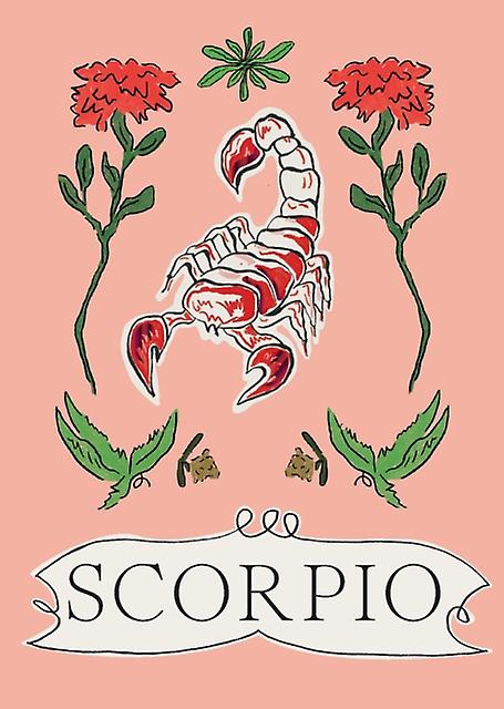 Scorpio by Liberty Phi Hardback Book