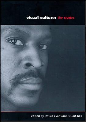 Visual Culture Paperback