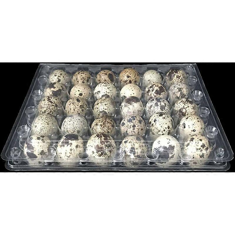 12 Pcs Quail Egg Cartons 24 Grids Small Quail Hen Egg Storage Box Stackable Clear Egg Tray Box Case for Family Refrigerator