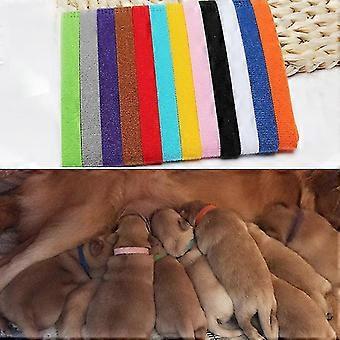 12pcs/set Puppy Newborn Pets Identify Collars Adjustable Nylon Dog Cat Necklace