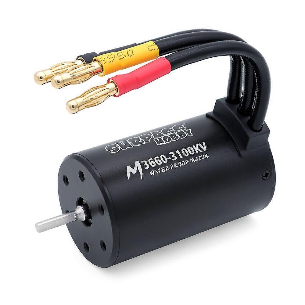 SURPASS HOBBY M3650 M3660 3.175mm シャフト 4.0mm 金メッキコネクタ オールブラック 防水ブラシレス