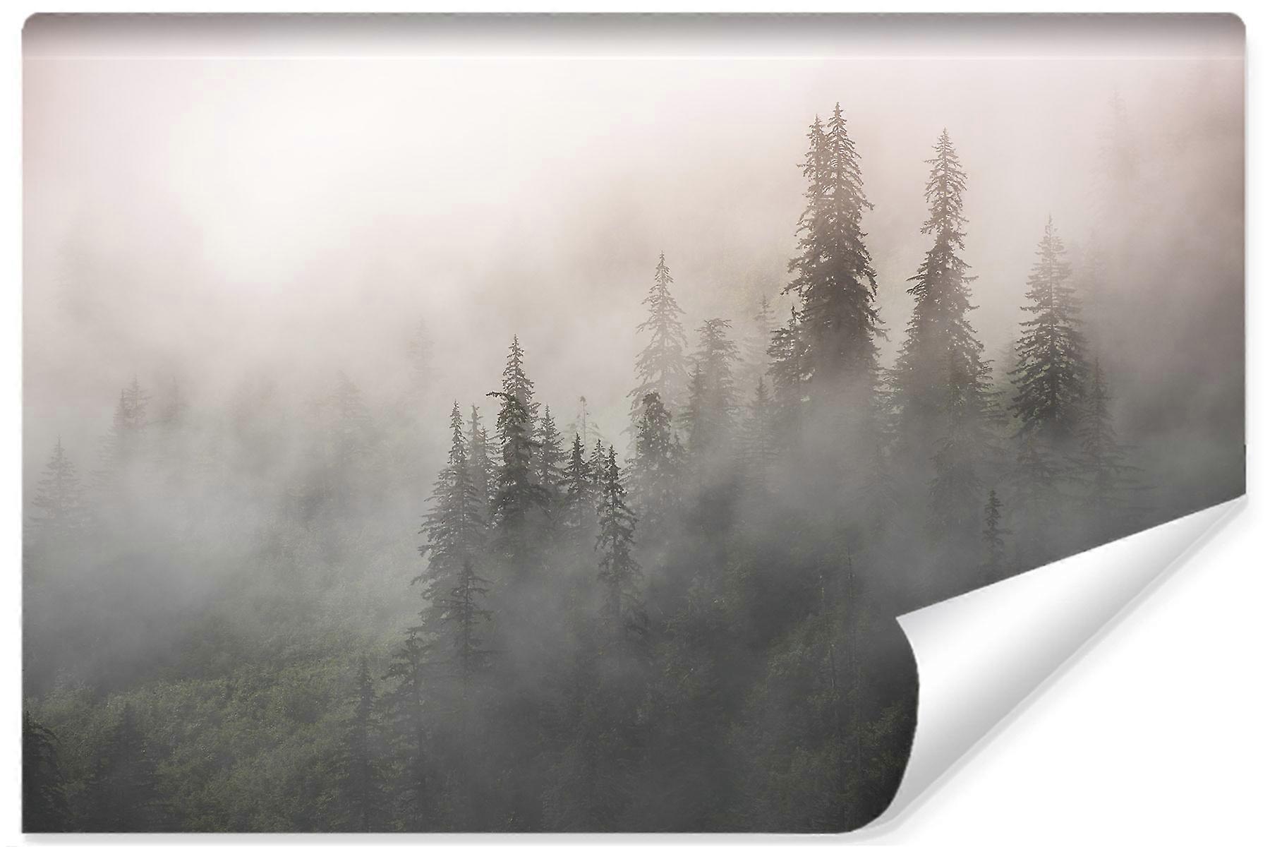 Sovrum väggmålning Skog i dimman landskap