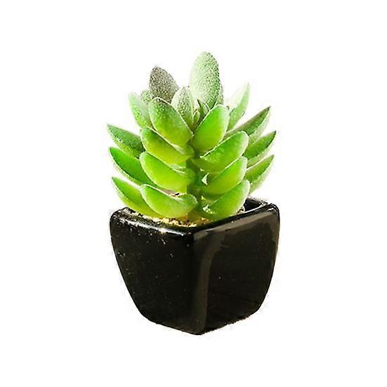 Plantă în ghiveci simulată ușor de întreținut PVC Mini asortat Decorativ suculent artificial