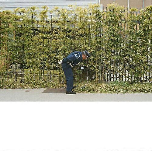 Gold Panda Good Luck and Do Your Best CD (2016)