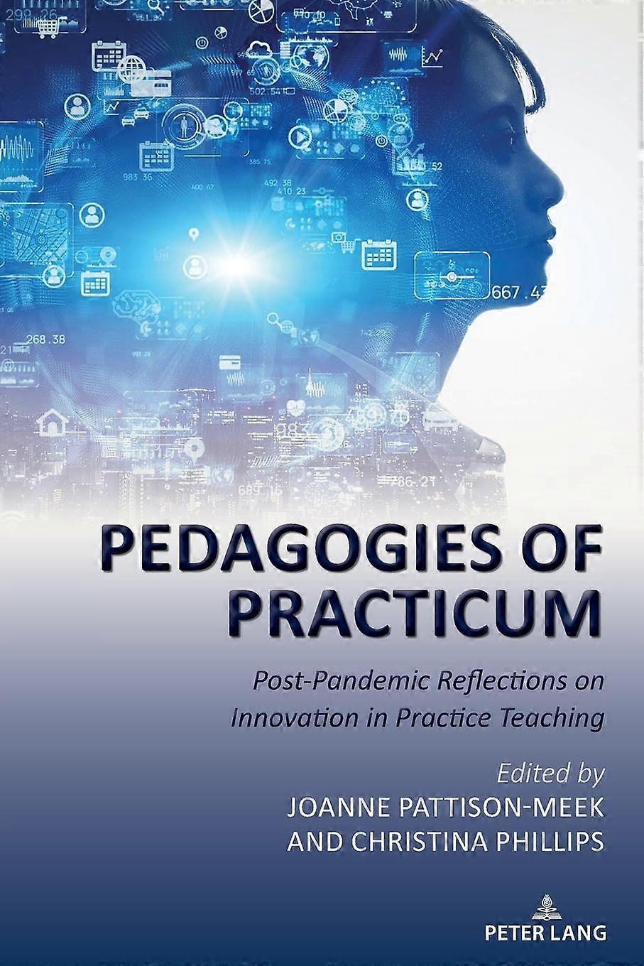 Pedagogies Of Practicum Paperback