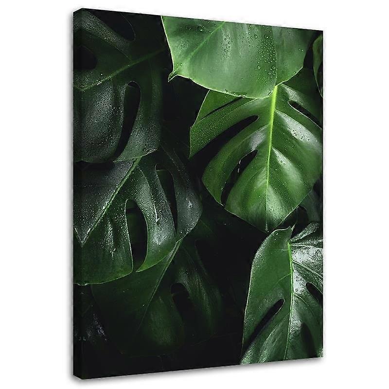 Impression sur toile, feuilles de Monstera - 60x90